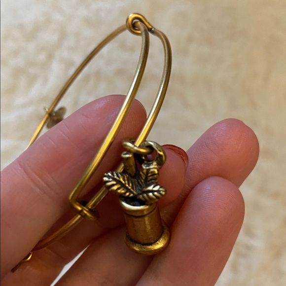 Alex & Ani Mint Julep Bracelet - Picture 2 of 5